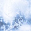 Christmas Favourites、Relajación、Thunderstorm Sleep - All the Presents