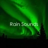 Rain Sounds、Nature Sounds Nature Music、Fabricantes De Lluvia - Monsoon