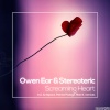 Owen Ear、Stereoteric - Screaming Heart