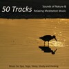 Nature Sound Series - Relaxing Meditation Music
