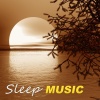 Sleeping Aid Music Lullabies - Sleep and Dream