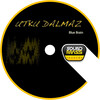 Utku Dalmaz - Blue Brain