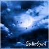 Restful Sleep Music Academy - Gentle Spirit (New Age Music)