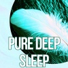 Deep Sleep Hypnosis Masters - Music Therapy Nature Sounds