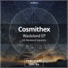 Cosmithex《Wasteland》[MP3/LRC]