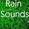 Rain Sounds、Mindfulness Meditation Music Spa Maestro、Mindfulness Mediation World - Tropical Forests