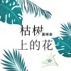 莫梓俞 - 枯树上的花
