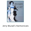 Jerry Murad's Harmonicats - Pink Dresden Doll