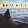 Shakuhachi Sakano - Wellness Music