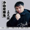 王文文 - 冲动是魔鬼