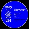 Shunsuke Akimoto - Where is my Brain