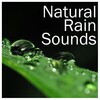 Rain Sounds & Nature Sounds, Heavy Rain Sounds, Rain, Thunder and Lightening Storm Sounds - Crickets Singing in the Rain