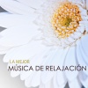 Musica de Relajacion Espace《Mente Sana》[MP3/LRC]