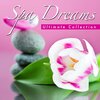 Spa Music Relaxation Meditation - Journey to Peace (Sound of Waves)