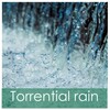 Rain Sounds & Nature Sounds, Heavy Rain Sounds, Rain, Thunder and Lightening Storm Sounds - Beautiful British Rainfall