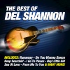 Del Shannon《Runaway》[MP3/LRC]