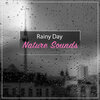 Rain Sounds & Nature Sounds, Heavy Rain Sounds, Rain, Thunder and Lightening Storm Sounds - Rain to fall asleep (LoopableNo fade)