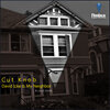 Cut Knob - David Icke Is My Neighbor