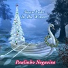 Paulinho Nogueira - Rio