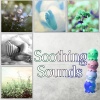 Soothing Baby Music Zone《Soothing Sounds》[MP3/LRC]