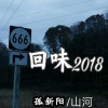 孤新阳、山河 - 如果这不是结局 (DJ版)