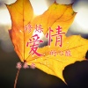 苏辰念 - 我渡她轮回