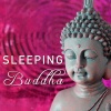 Relaxanna - Metta