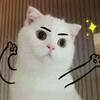 猫二 - 只对你有感觉 (预告版)
