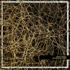Anthony Mea - Odyssey