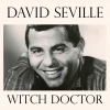 david seville《Witch Doctor》[MP3/LRC]