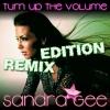 Sandra Gee《Turn Up the Volume (Max Fly Remix)》[MP3/LRC]