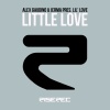 Alex Gaudino、Jerma、Lil' Love - Little Love (Radio Edit)
