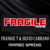 Silvio Carrano、Frankie T.《Mambo Spring (Original Mix)》[MP3/LRC]