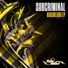 Subcriminal《Roadblock》[MP3/LRC]