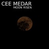 cee medar - Here