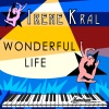 Irene Kral《Wonderful Life》[MP3/LRC]