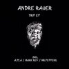 Andre Rauer - Trip (Original Mix)