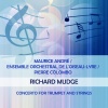 Maurice Andre、Ensemble Orchestral De L'Oiseau-Lyre《Concerto for Trumpet and Strings D Major: Vivace》[MP3/LRC]