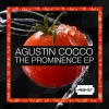 Agustin Cocco - Fire Maze (Original Mix)