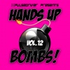 Pulsedriver、Jonny Rose - Wreck My Heart (Benjiro Remix)