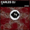 Carles Dj - Leer (Original Mix)