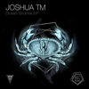 Joshua Tm - Ocean Groove (Original Mix)