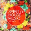 D.F.K.、Toris Badic - Pick Me Up (DeeMarcusRemix)