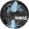 spiders - Spiders