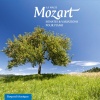 Cécile Hugonnard-Roche - Sonate pour piano No. 11 in A Major, K. 331, 