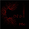 Paolo Branca - I'M (Original Mix)