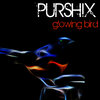 Purshix - The Big Boy (Original Mix)
