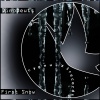 dinodeuts - First Snow (Original Mix)