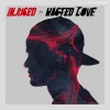 Injused《Wasted Love (Original Mix)》[MP3/LRC]