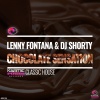 lenny fontana、DJ Shorty《Chocolate Sensation (Force Mix)》[MP3/LRC]